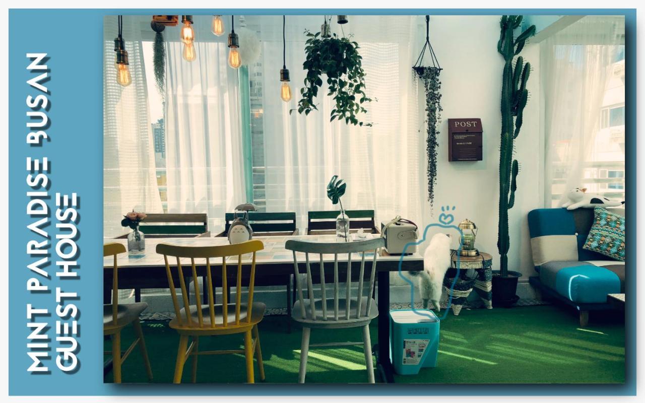 Mint Paradise Busan Buitenkant foto