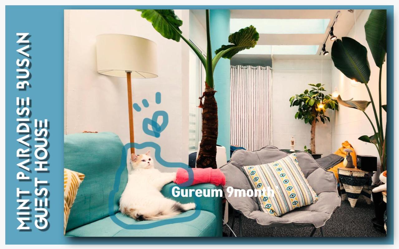Mint Paradise Busan Buitenkant foto